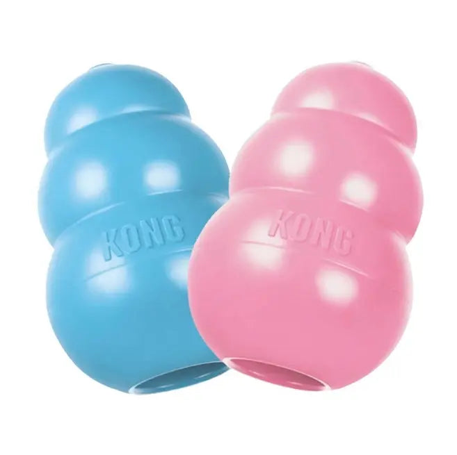 Kong Puppy Blå & Rosa