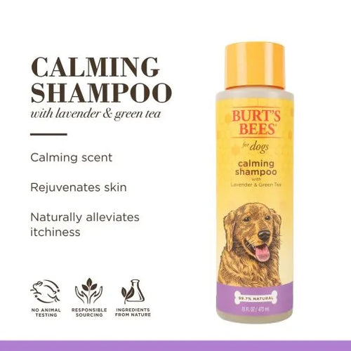 Burt’s Bees Calming Shampoo – 473ml