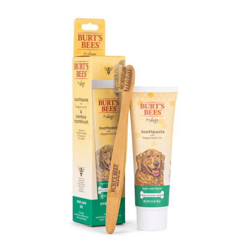Burt’s Bees – Tannpleiesett