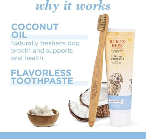 Burt’s Bees – Tannpleiesett