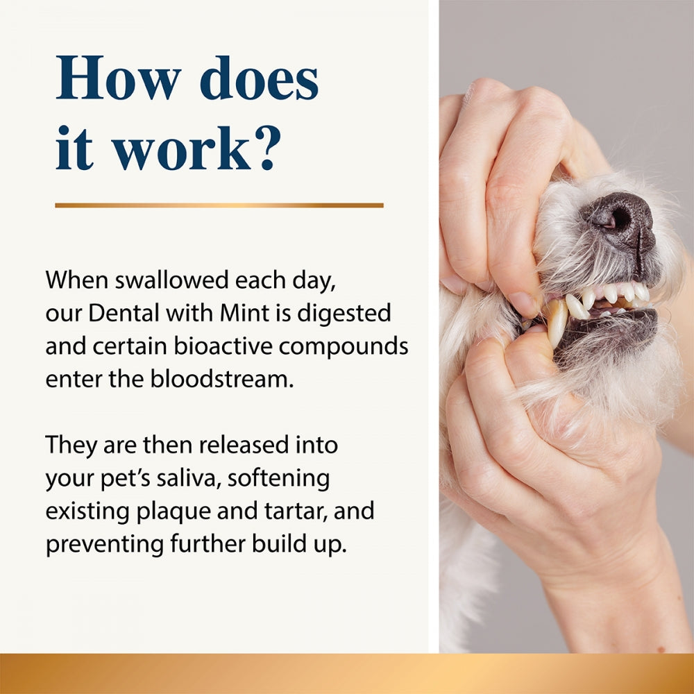 Karnlea Dental with Mint 200g