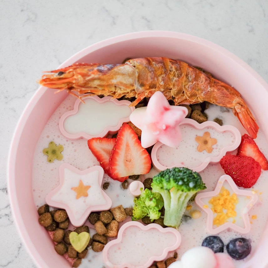Star + Cloud Slow Feeder Bowls Medium