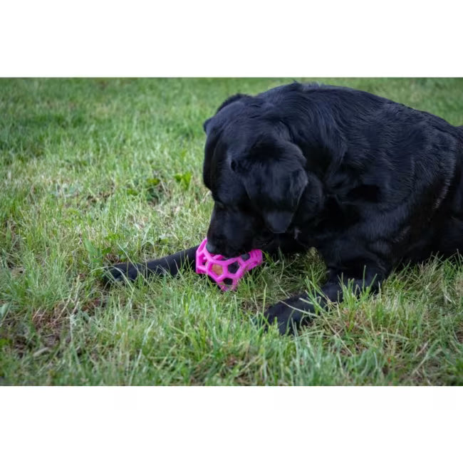 Dog Comets Moonstone Treat Cube